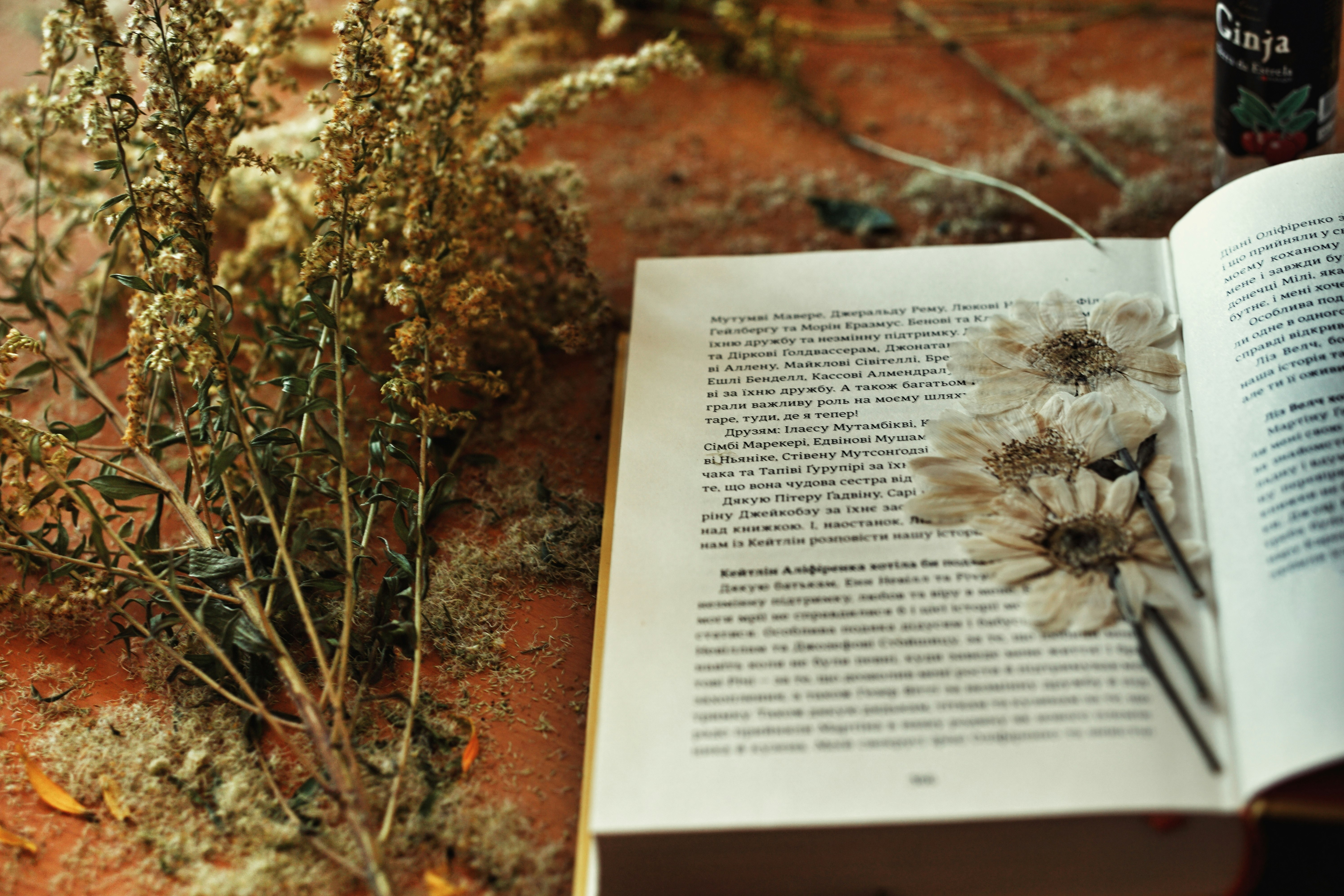 white book page on brown dried leaves